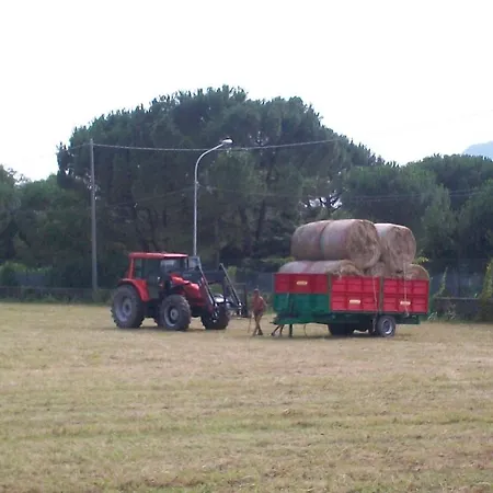 B&B Agrifarm *